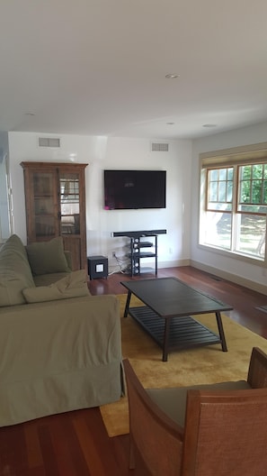 Smart TV, fireplace, DVD player, books
