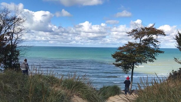 Ein Küstenpfad mit Gras und Bäumen, der zum Meer führt.