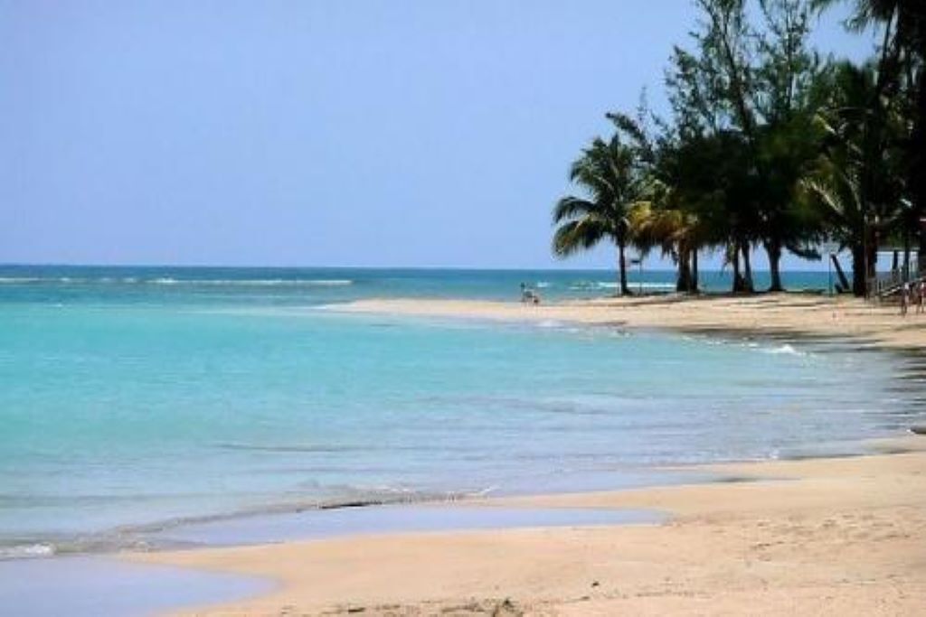 A beach with clear turquoise water, sandy shore, and palm trees.