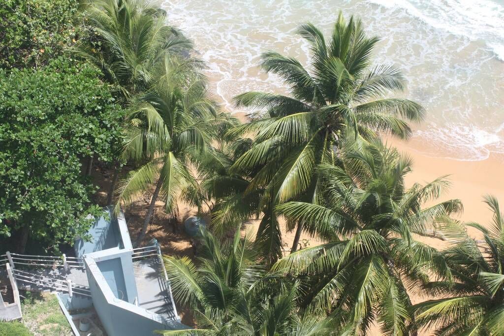 Una playa con palmeras y un edificio con balcón con vista al océano.