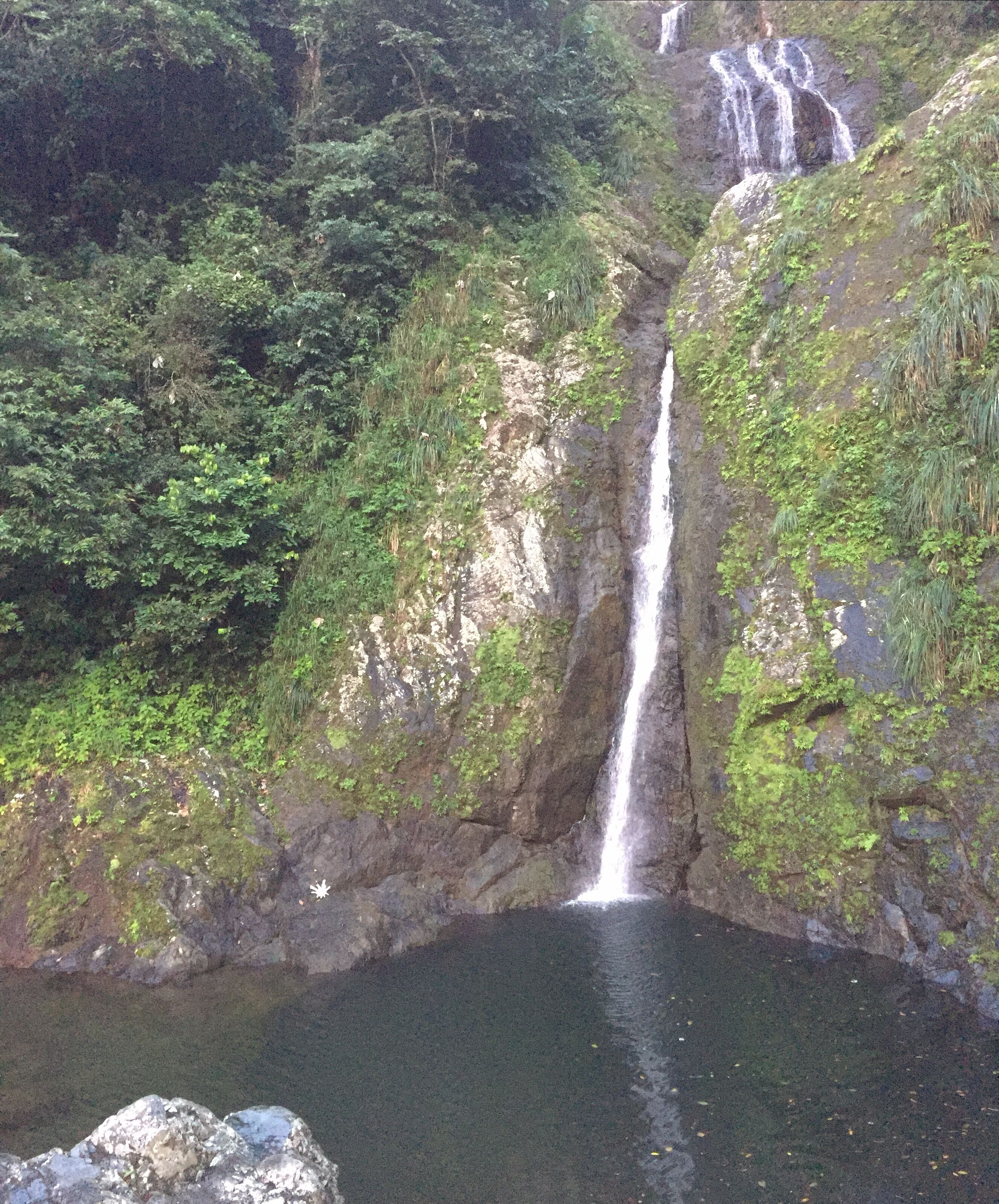 Una cascada que se precipita en una poza rodeada de vegetación exuberante.