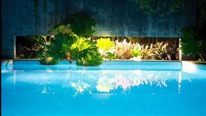 A swimming pool with clear blue water, surrounded by lush green plants and a concrete wall.