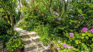 Un escalier en pierre, entouré d’une végétation luxuriante et de plantes en fleurs.