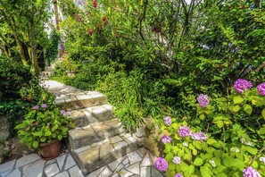 Terrain de l’hébergement 