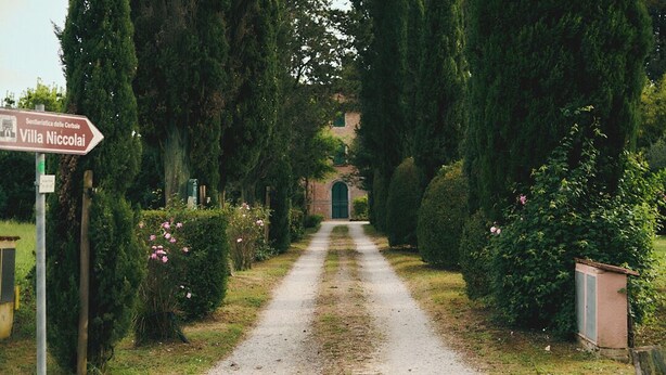 Ein ländlicher Pfad führt zur Villa Niccolai, umgeben von üppigem Grün und einem traditionellen Gebäude in der Ferne.