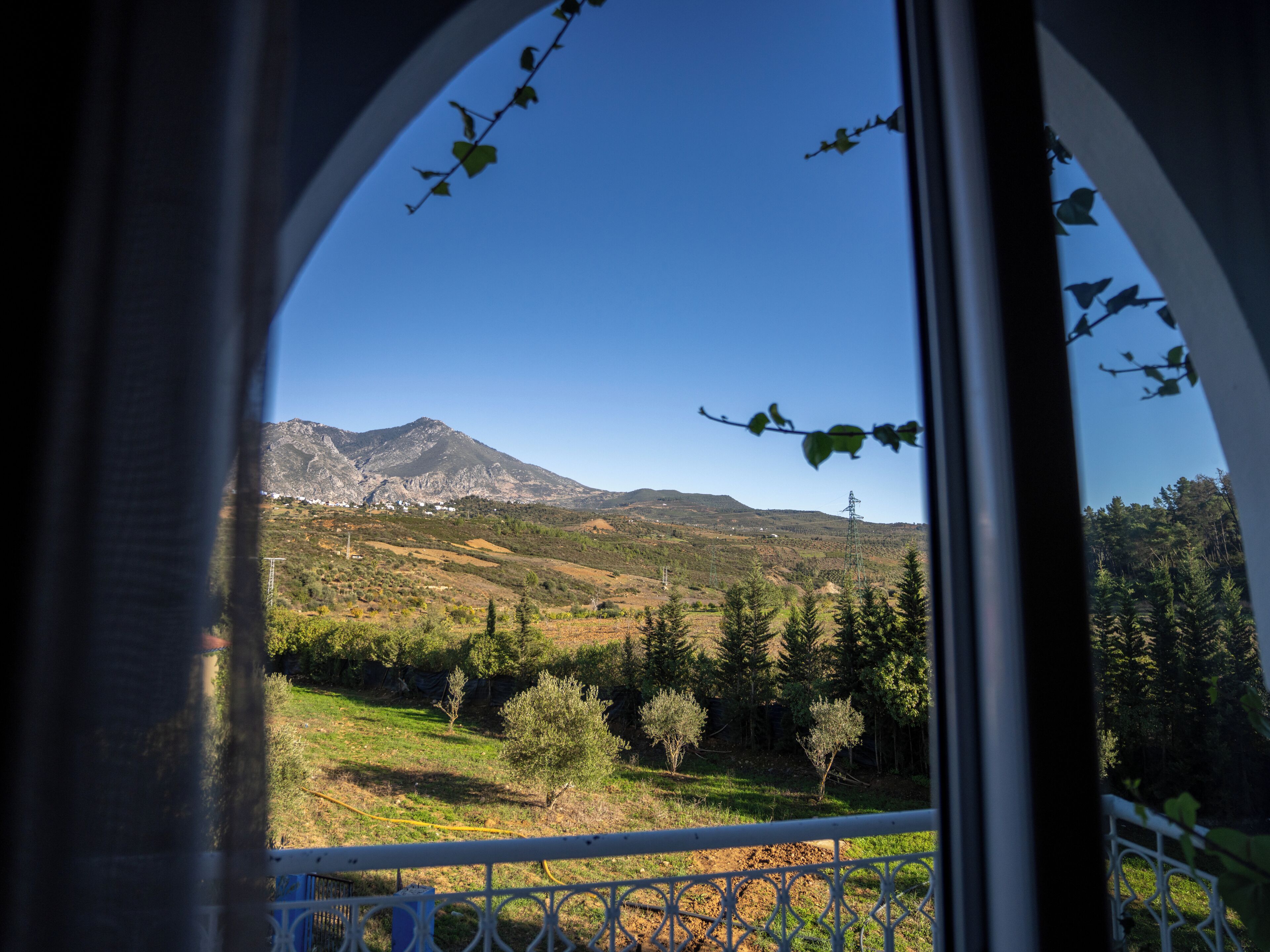 Vista a través de una ventana con una montaña al fondo, una barandilla y algo de vegetación.