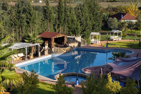 Seasonal outdoor pool, pool umbrellas, sun loungers