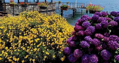 Balcony on Lake Pianello