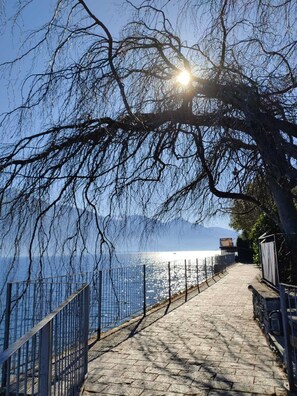 A stone pathway leading to a body of water, with a metal fence on one side and a building in the background.