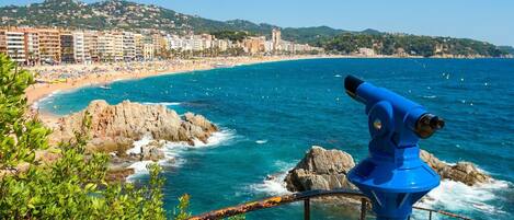 بالقرب من الشاطئ