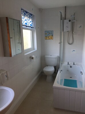 Combined shower/bathtub, toilet paper