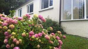 Une maison avec trois fenêtres, entourée d’une végétation luxuriante et de buissons d’hortensias roses.