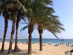 Playa en los alrededores