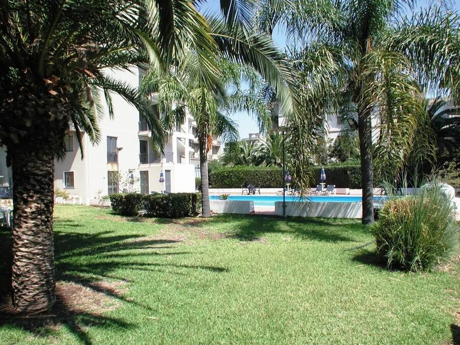 Zona de piscina con terraza cubierta, rodeada de palmeras y un césped bien cuidado.