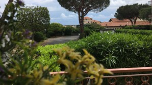 A garden with various plants and a large tree. - The moon and the bonfire IT009024C2SF9H64V7 (Ceriale)