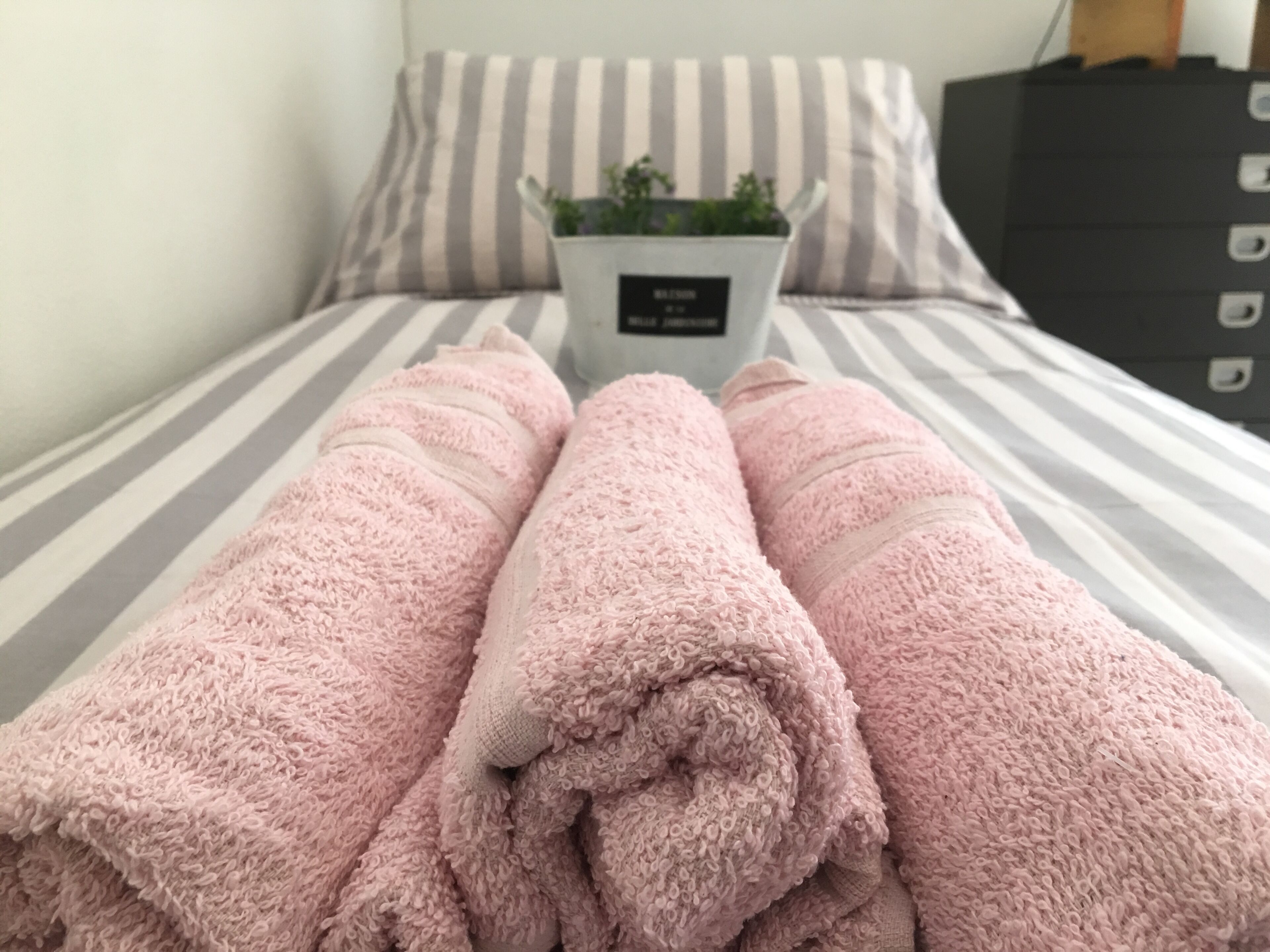 Una cama con ropa de cama a rayas y una planta en maceta sobre la mesita de noche.