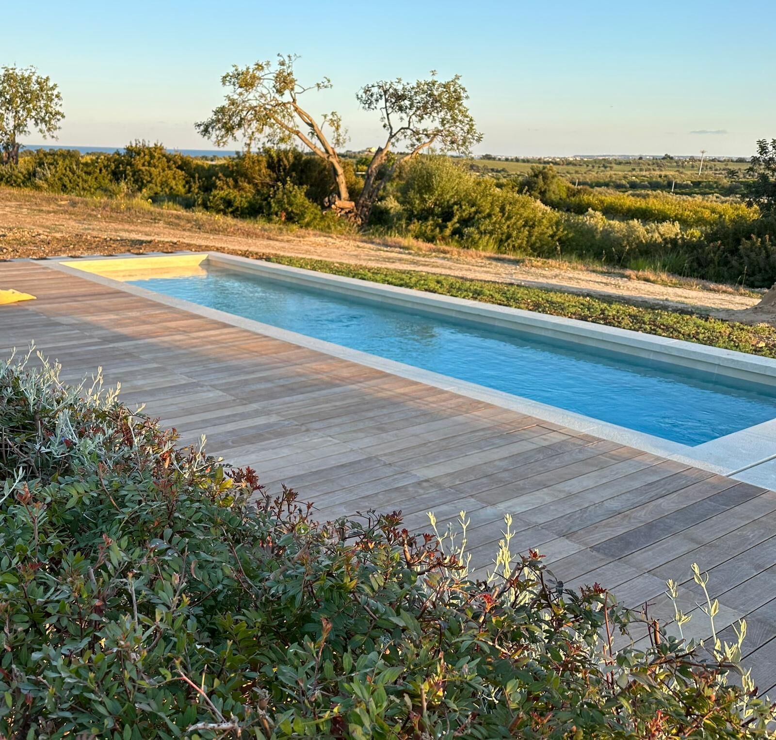 A rectangular swimming pool with a wooden deck, surrounded by greenery and trees.