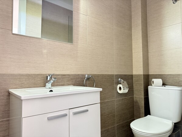 A bathroom with a white sink, a mirror, a toilet, and a roll of toilet paper on the wall.