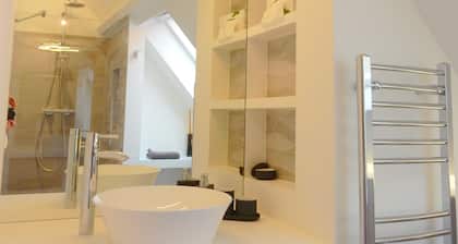 Luxurious and spacious penthouse (61 m2) in city center with free wifi.