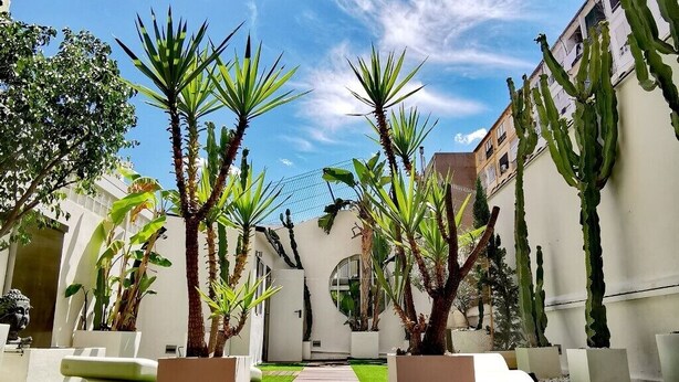 Un cortile con palme, un pontile in legno e un edificio bianco con una finestra ad arco.