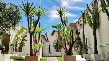 Terraza o patio