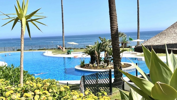 Ein Poolbereich mit Blick auf den Ozean, umgeben von Palmen und einem strohgedeckten Gebäude.