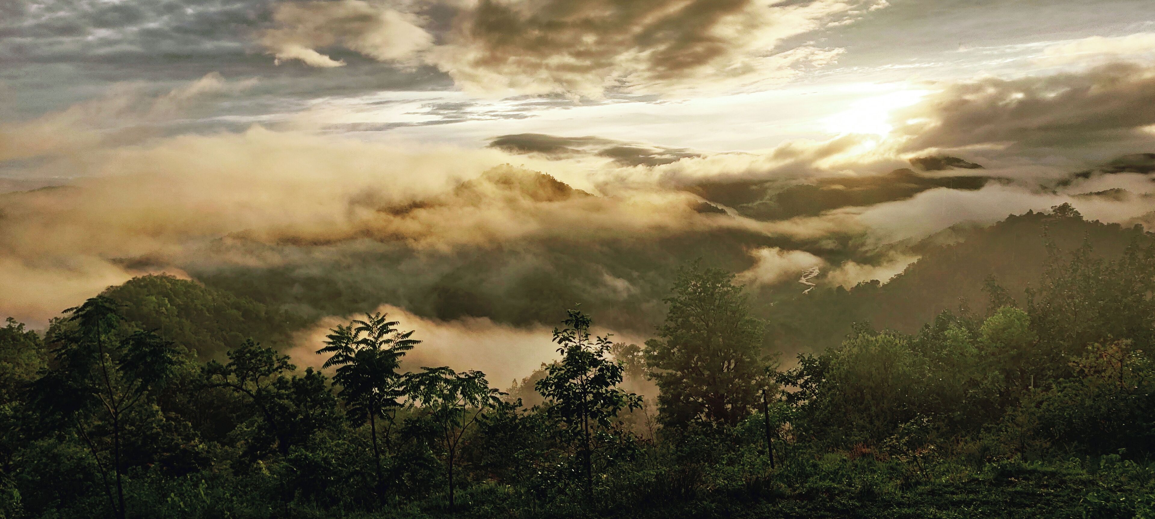 A mountainous landscape with dense forest and clouds.