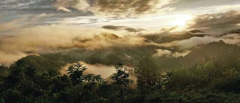 A mountainous landscape with dense forest and clouds.