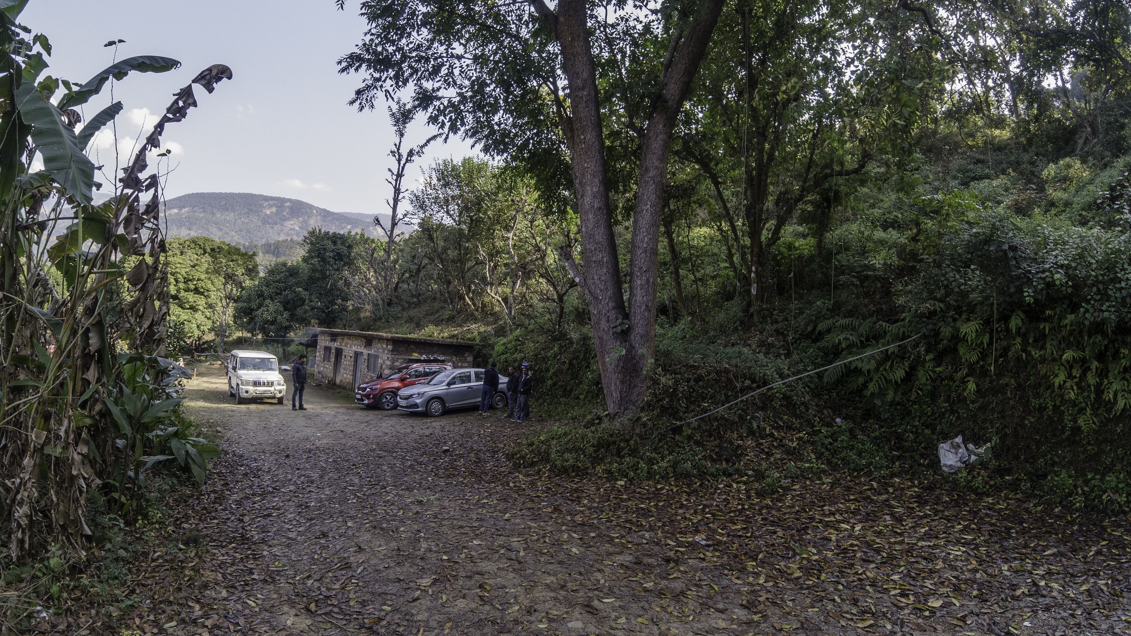 free self-parking, free valet parking