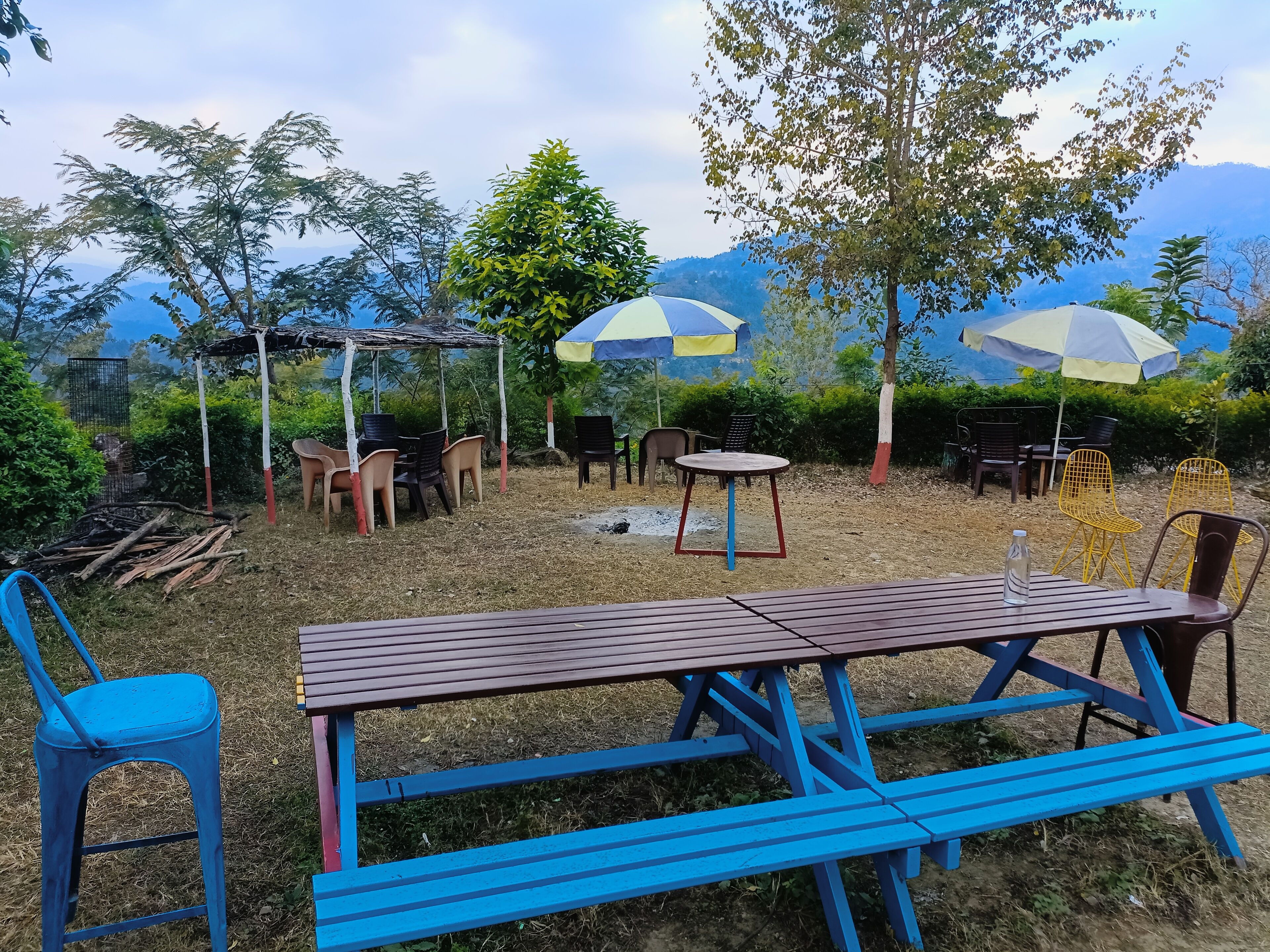 An outdoor seating area with tables and chairs, surrounded by trees and a view of mountains.