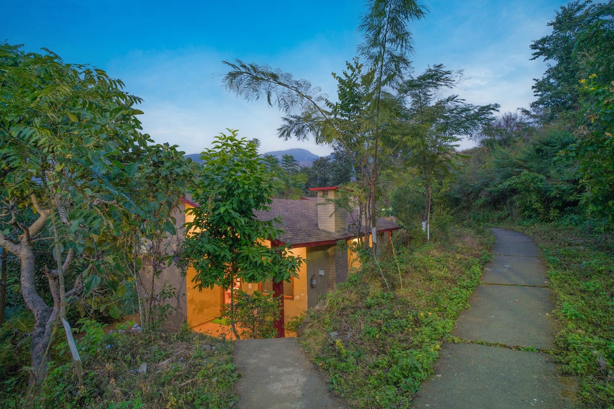 A secluded house surrounded by dense vegetation, with a narrow pathway leading to the entrance.