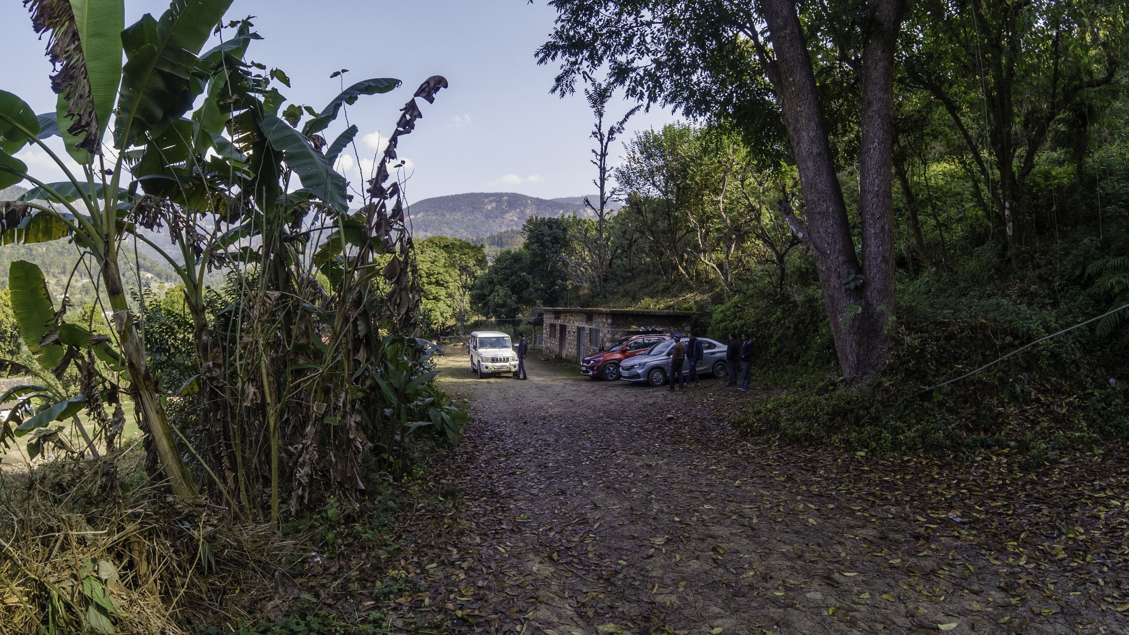 free self-parking, free valet parking