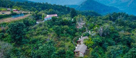 Una casa rural rodeada de bosque denso, con un camino de tierra que la lleva.