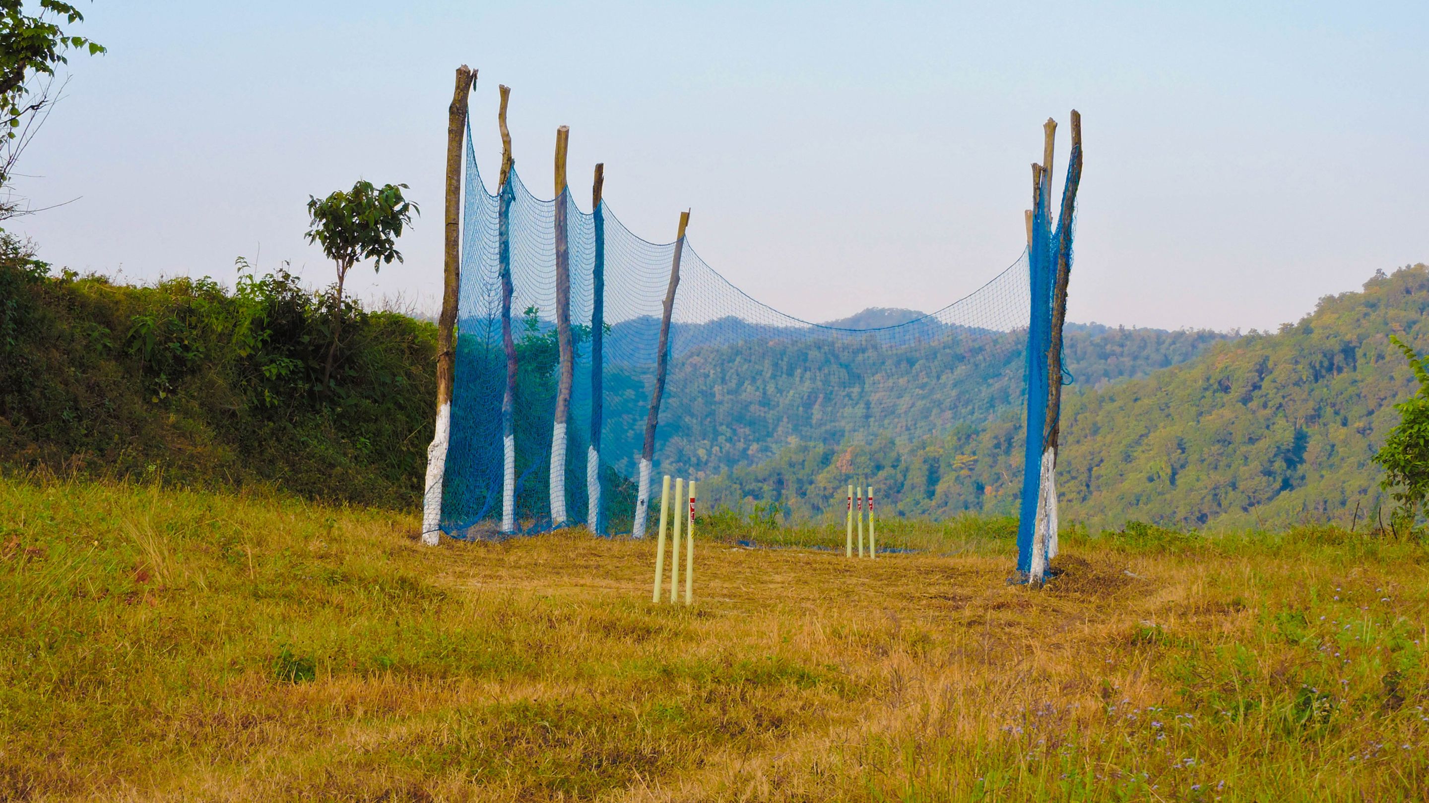 A cricket field with boundary ropes and stumps.