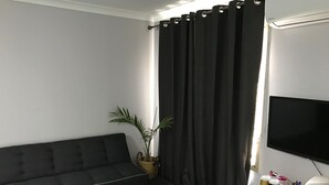 電視
