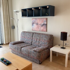 Televisio, DVD-soitin, pöytätennispöytä, kirjoja