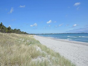 A beach with sand and grass, a clear sky, and a distant shoreline.
