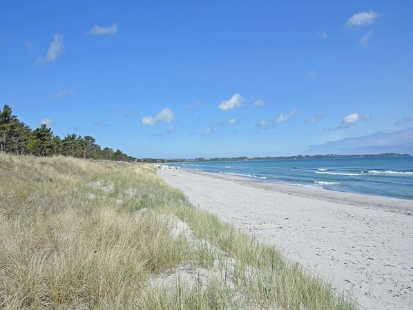 A beach with sand and grass, a clear sky, and a distant shoreline.