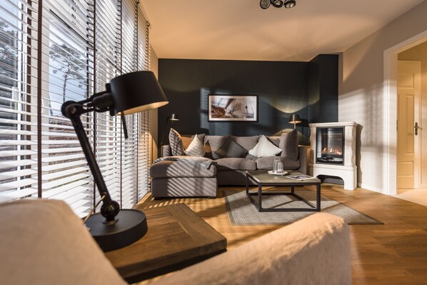 TV, fireplace, video games, DVD player