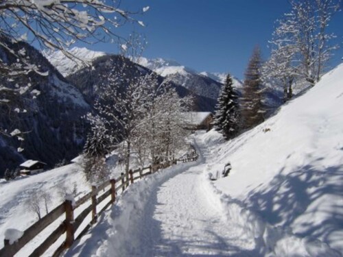 Apartment 2 - Planerhof