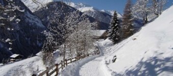 Apartment 2 - Planerhof