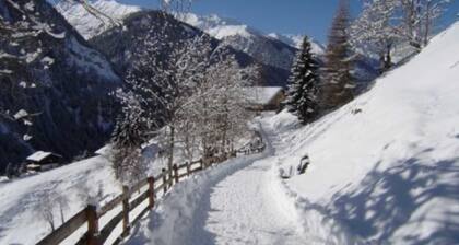 Apartment 2 - Planerhof