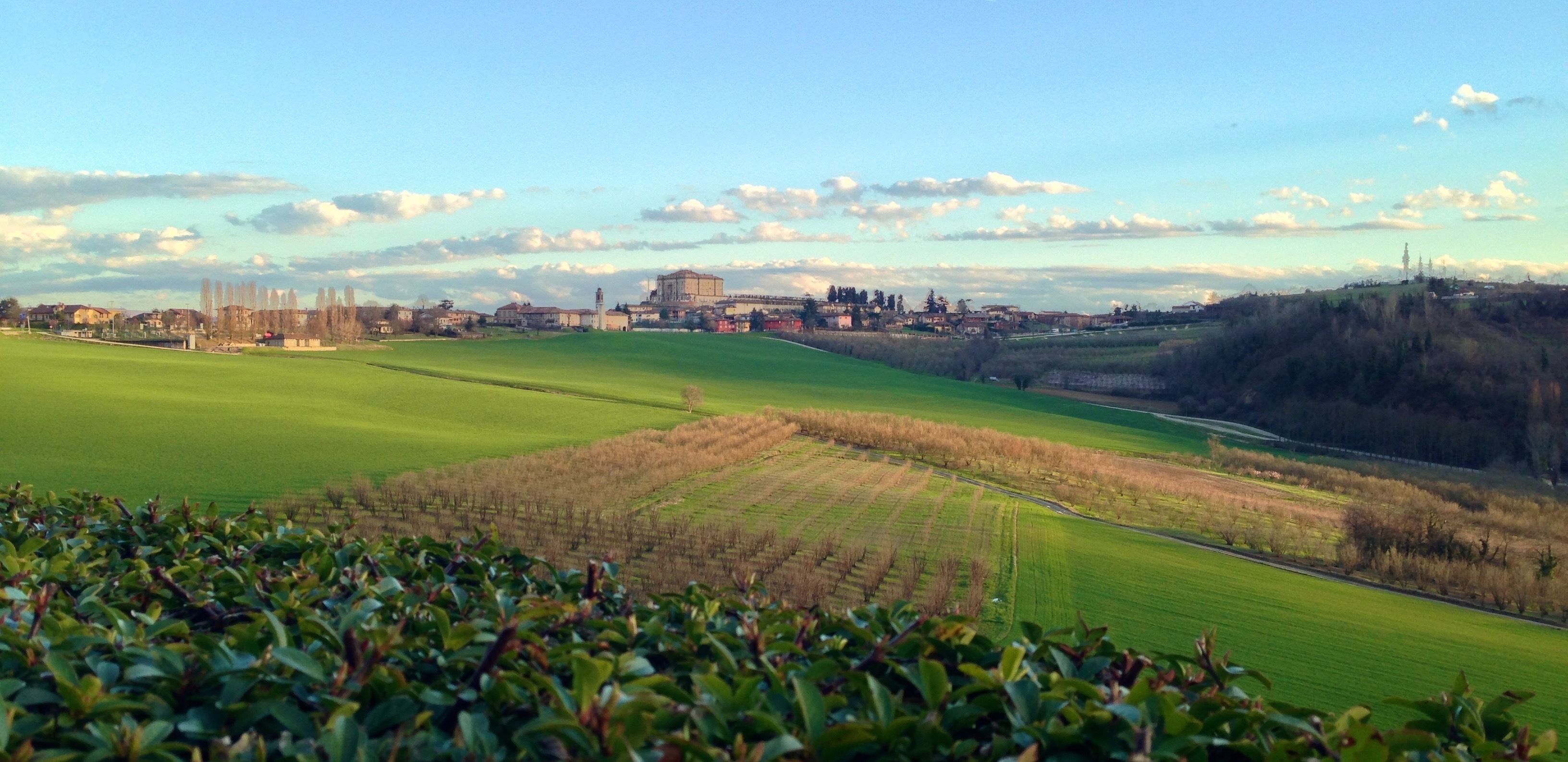 Eine ländliche Landschaft mit Feldern, einem Gebäudekomplex und einem Hügel mit Bäumen.