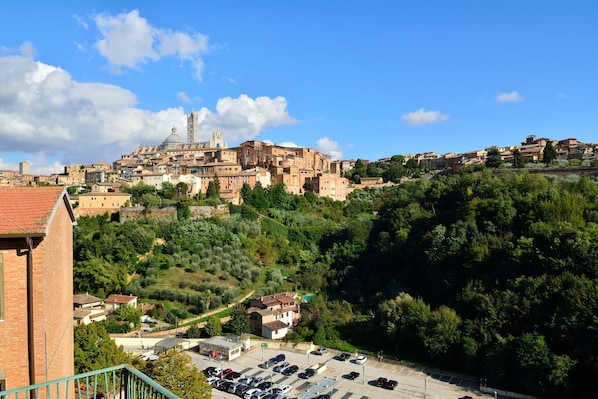 A hillside town with historic buildings and a prominent church.