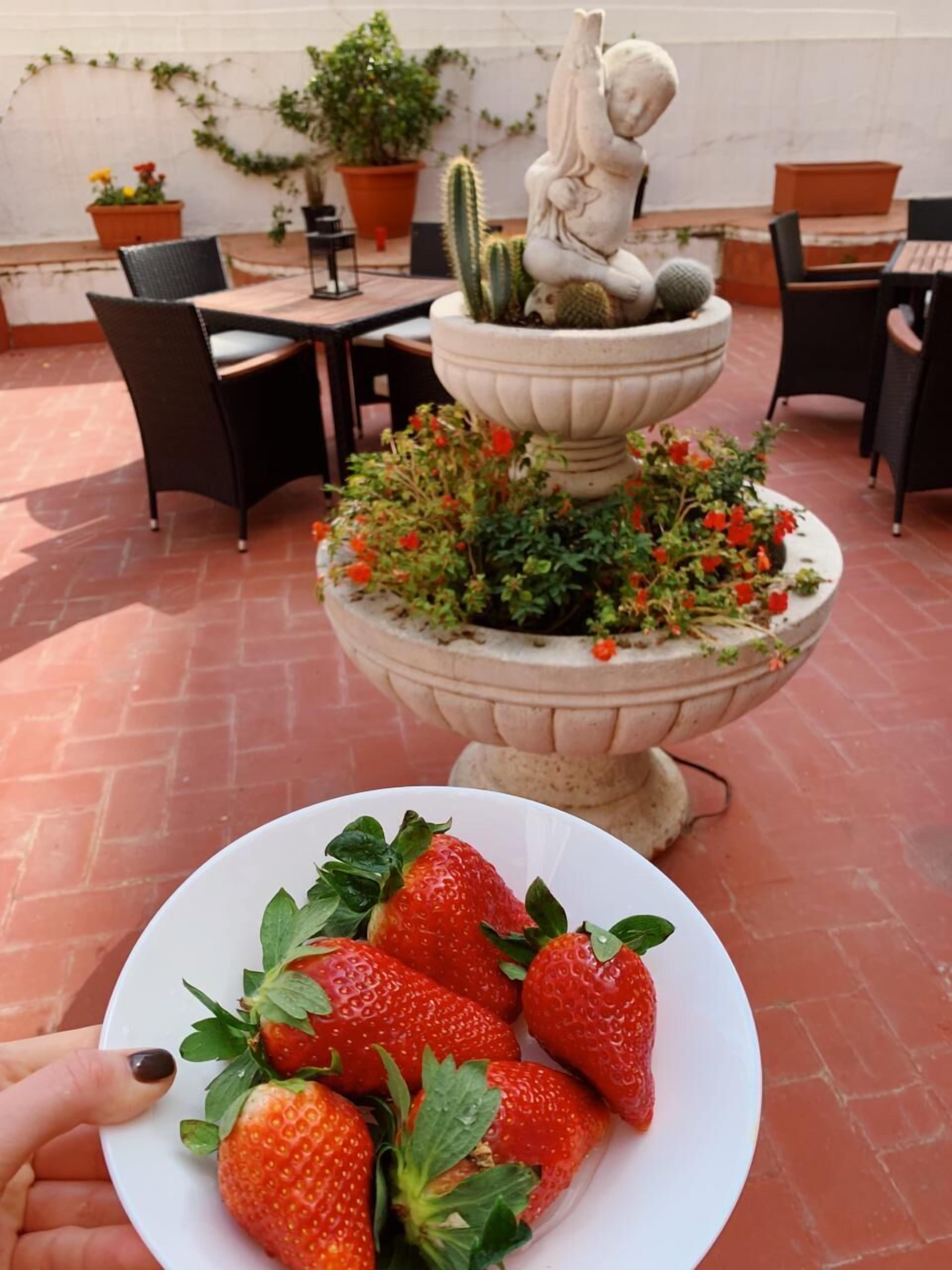 Foto - Olivia Barcelona