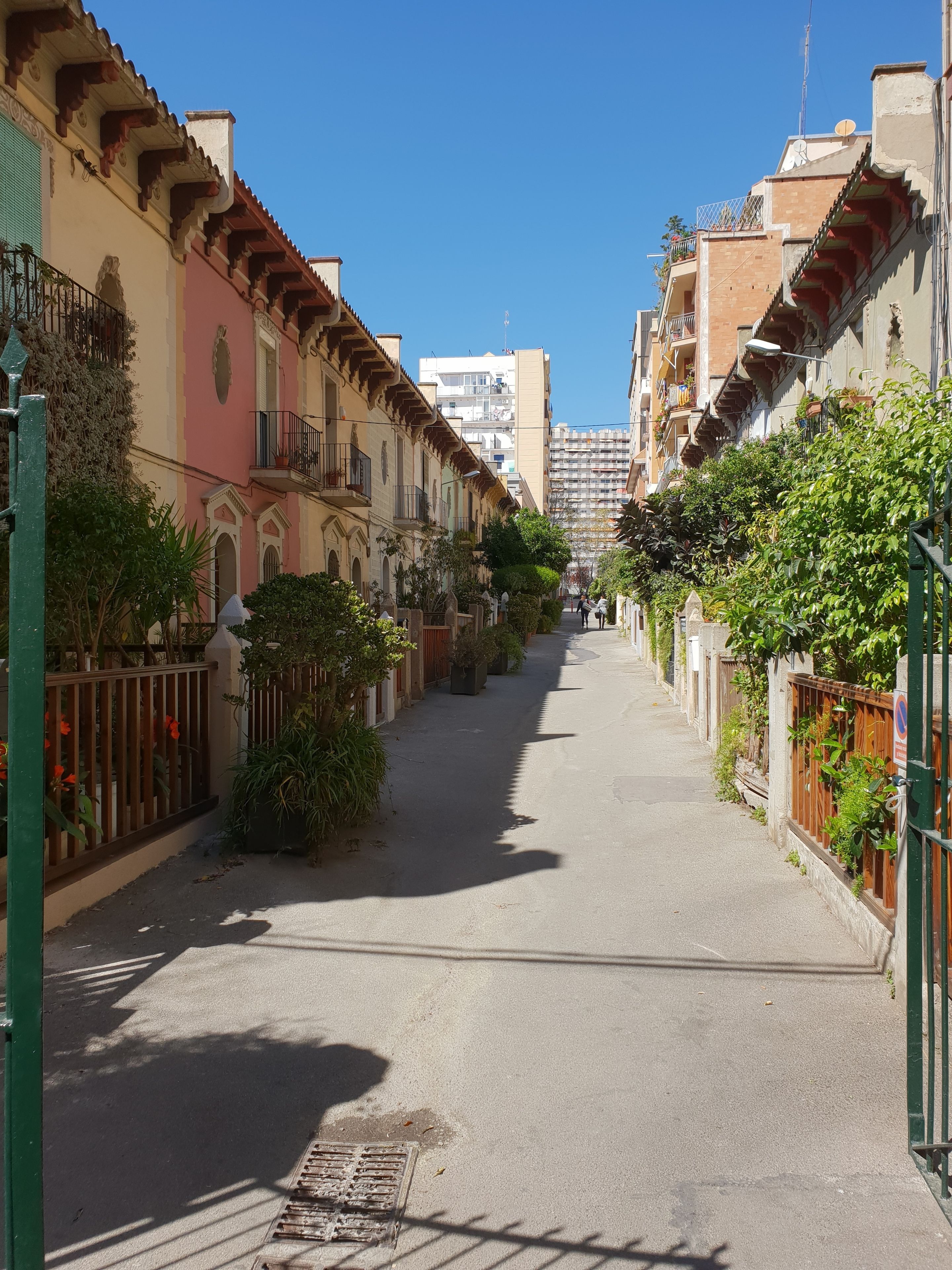 Foto - Olivia Barcelona