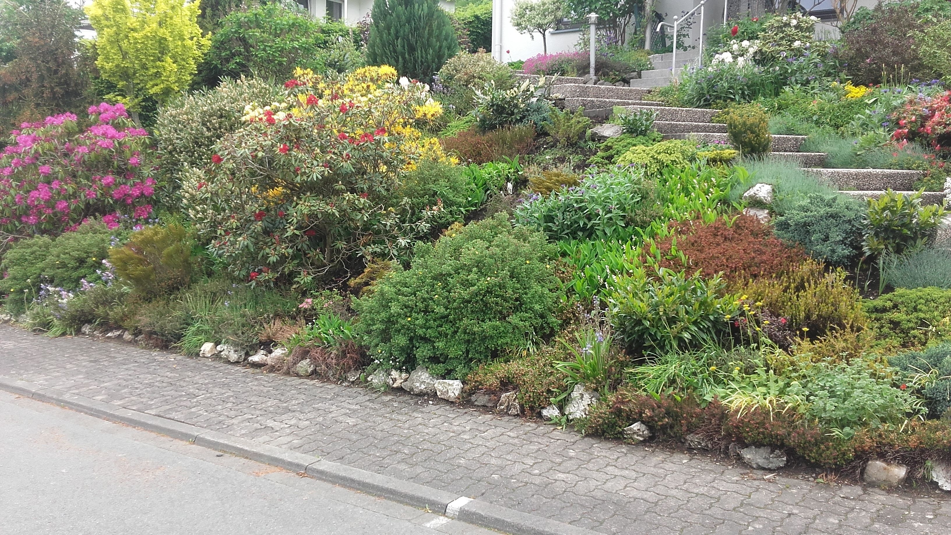 Un jardín ajardinado con diversos arbustos y flores, un camino empedrado y una escalera que lleva a un edificio.