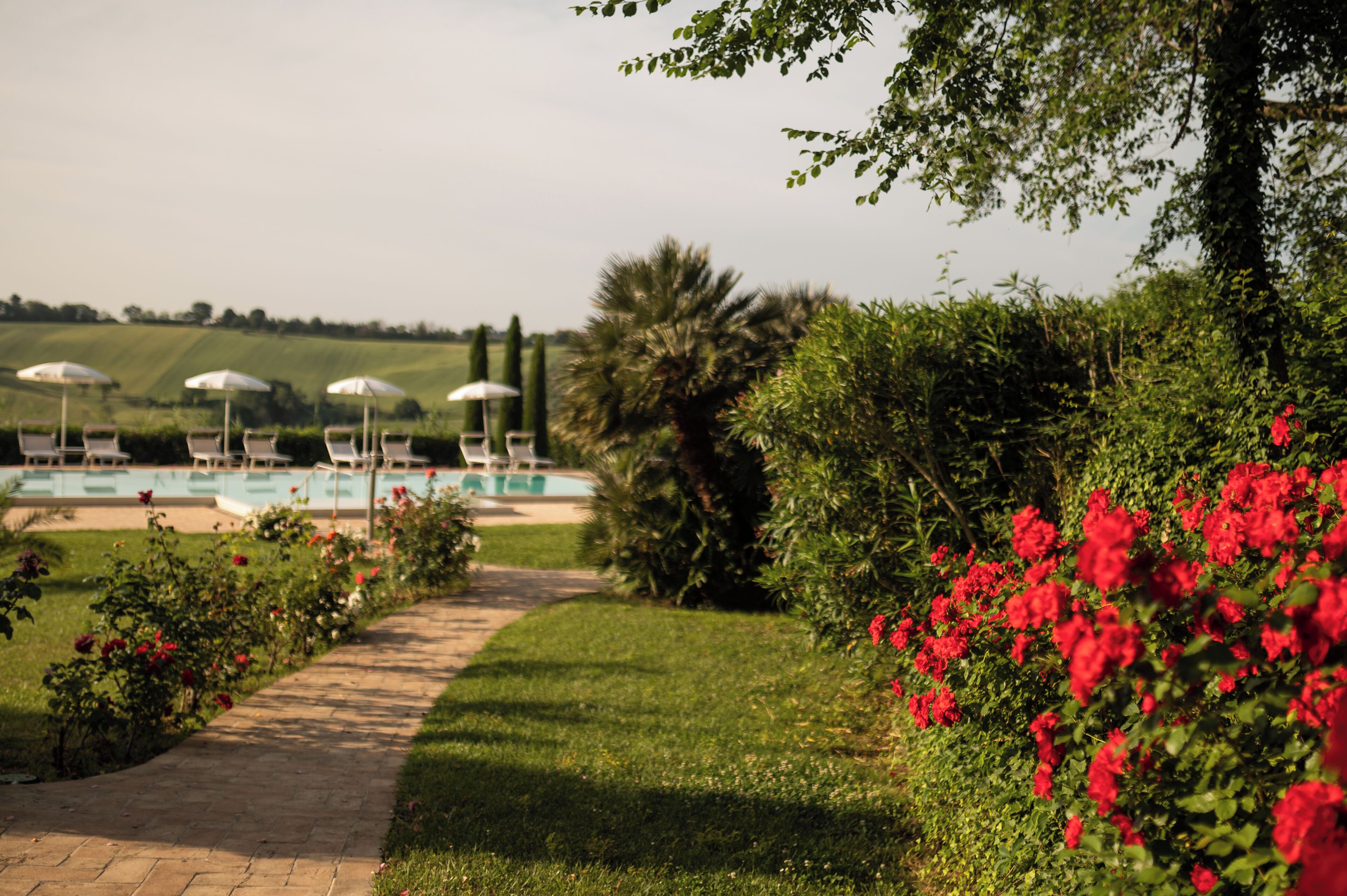 A pathway leading to a pool area with lounge chairs and umbrellas, surrounded by lush greenery and red flowers.