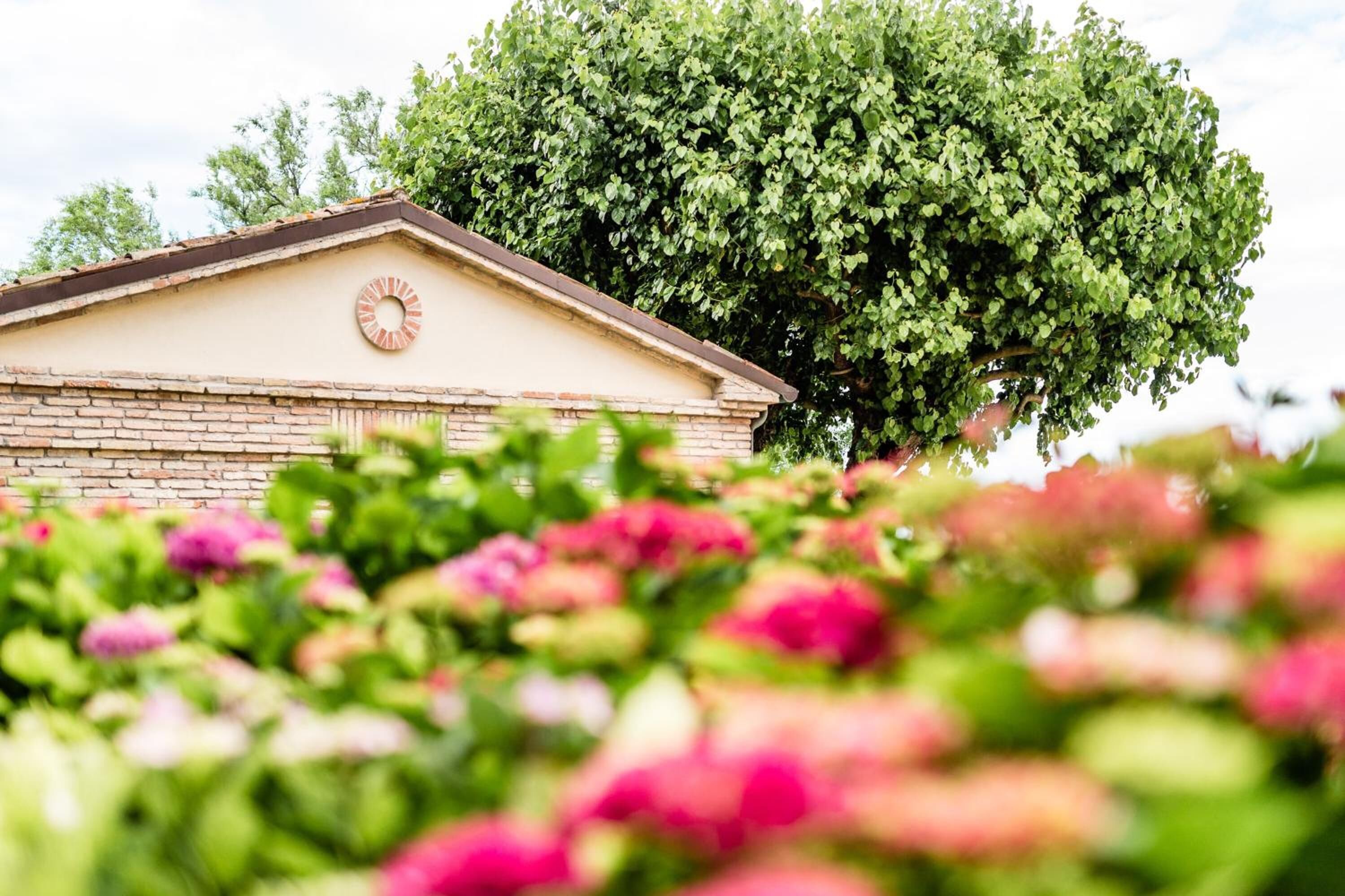 A building with a clock on the facade, surrounded by lush greenery and flowering plants.