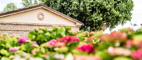 A building with a clock on the facade, surrounded by lush greenery and flowering plants.